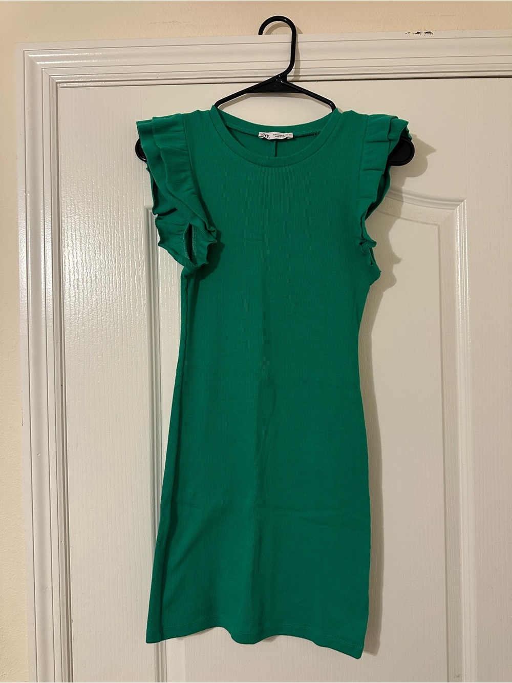 Zara Ruffle Sleeve Mini Dress NWOT